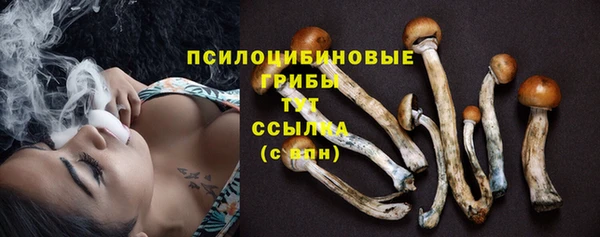 jwh Верхний Тагил