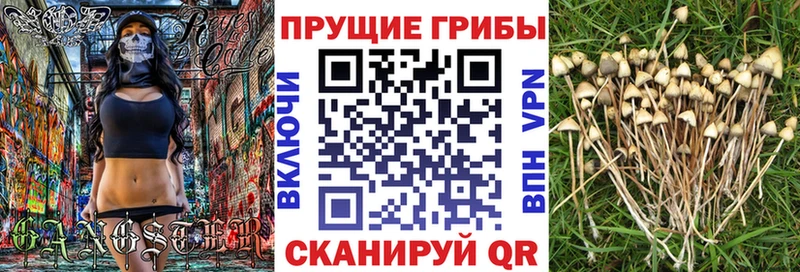Галлюциногенные грибы Psilocybine cubensis  МЕГА как войти  Нерехта 